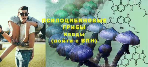 соль курить ск Семёнов