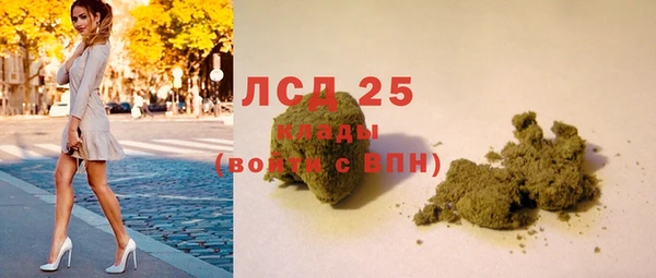 стаф Аркадак