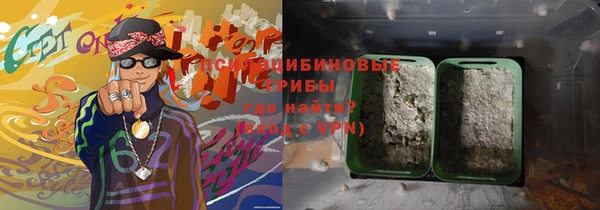стаф Семилуки