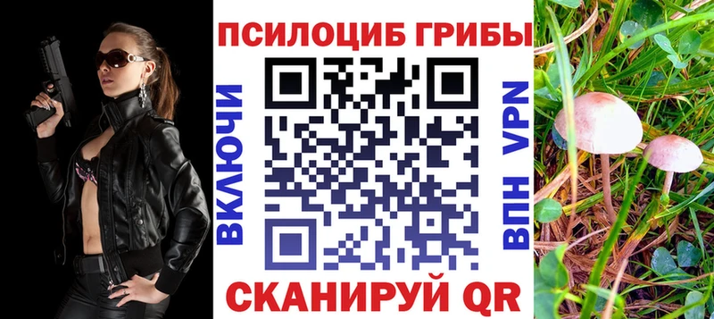 ссылка на мегу ССЫЛКА  Цивильск  Галлюциногенные грибы Psilocybine cubensis  даркнет сайт 